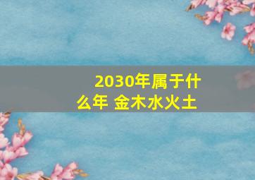 2030年属于什么年 金木水火土